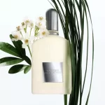 Tom Ford Grey Vetiver 灰色香根草男性淡香精